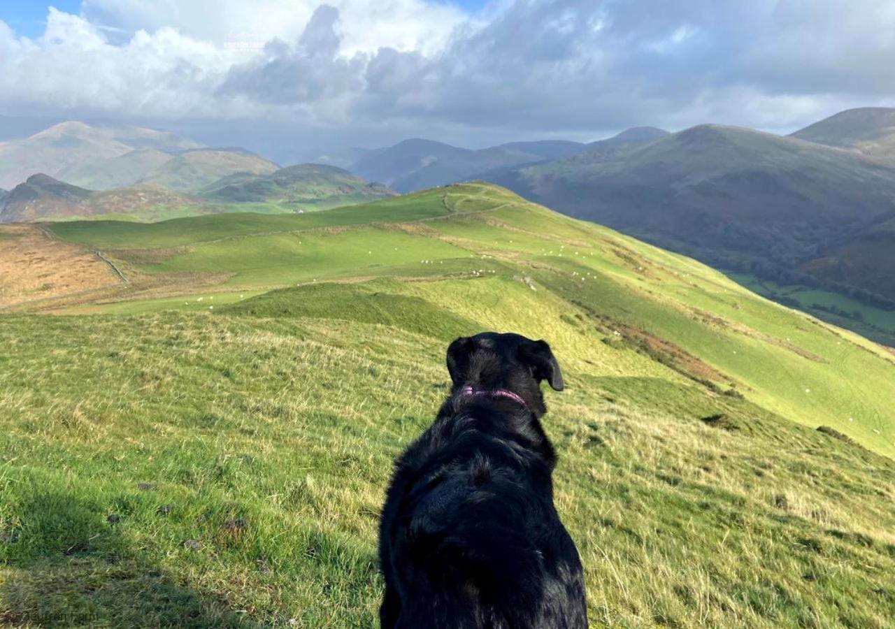Farmhouse & Cottage At Geufron Farm - Dog Friendly Bryn-crug Buitenkant foto
